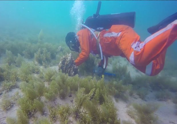 威尼斯(886699-WNS认证)有限公司官网