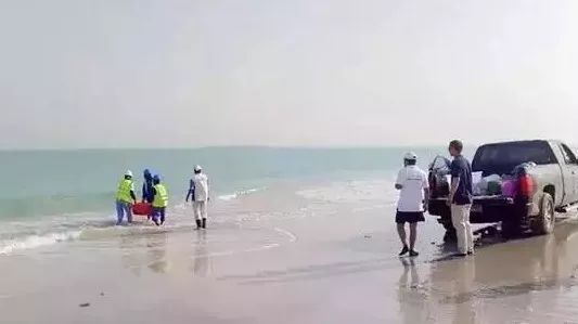 威尼斯(886699-WNS认证)有限公司官网