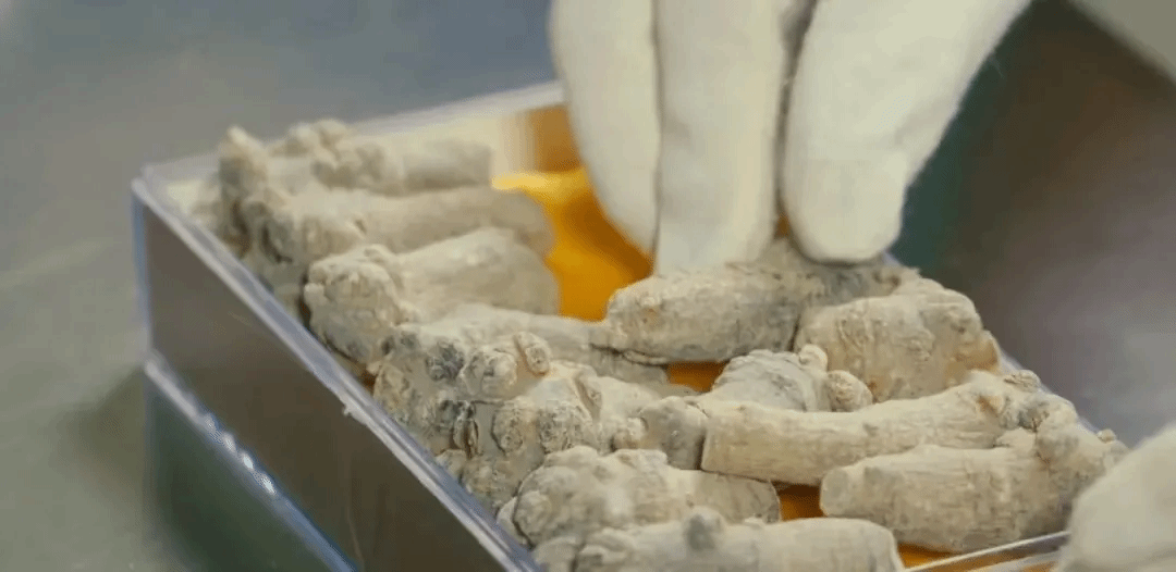 威尼斯(886699-WNS认证)有限公司官网