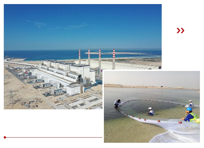 威尼斯(886699-WNS认证)有限公司官网