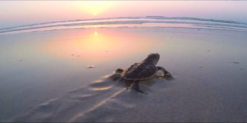 威尼斯(886699-WNS认证)有限公司官网