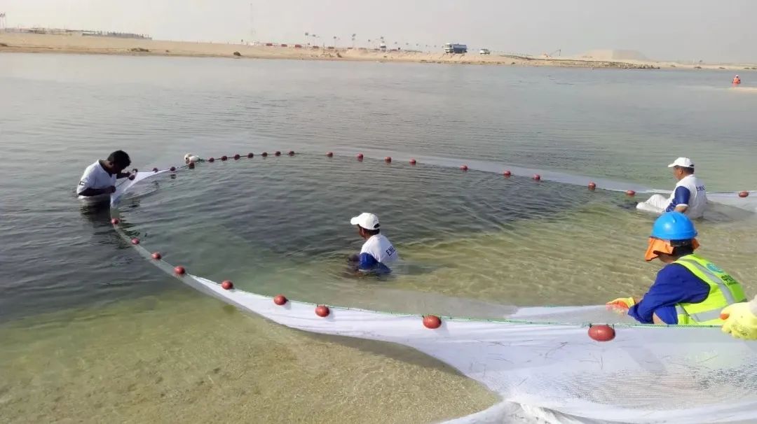 威尼斯(886699-WNS认证)有限公司官网