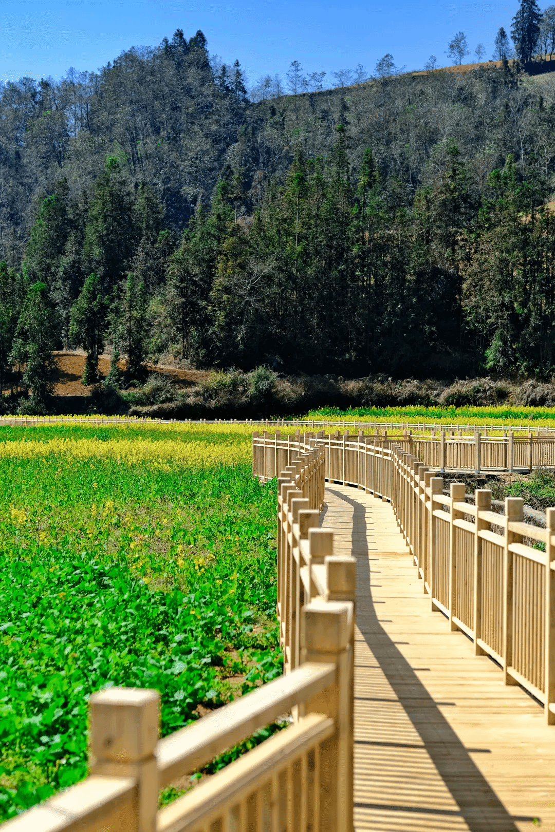 威尼斯(886699-WNS认证)有限公司官网