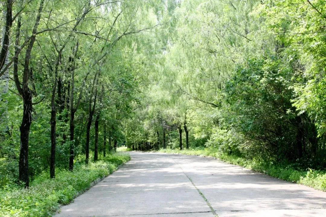 威尼斯(886699-WNS认证)有限公司官网