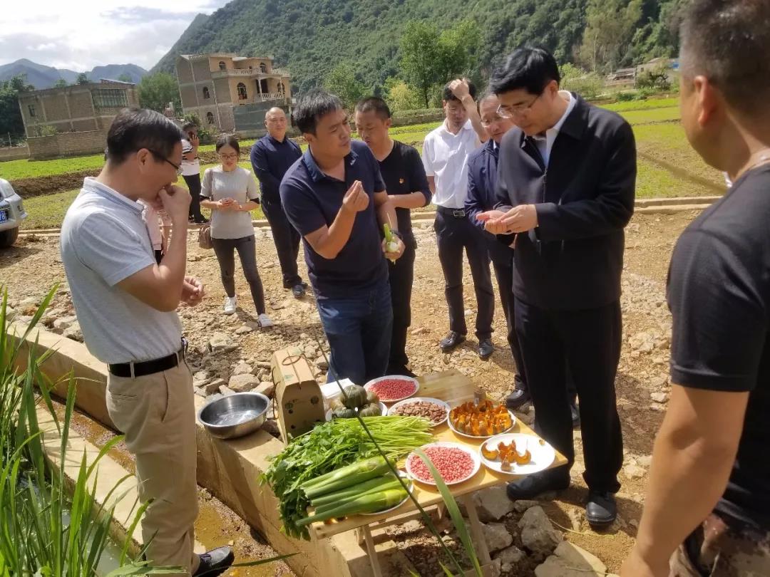 威尼斯(886699-WNS认证)有限公司官网