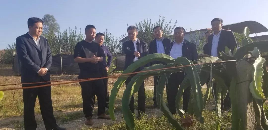 威尼斯(886699-WNS认证)有限公司官网