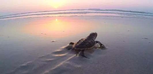 威尼斯(886699-WNS认证)有限公司官网