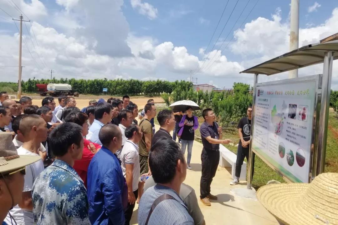 威尼斯(886699-WNS认证)有限公司官网