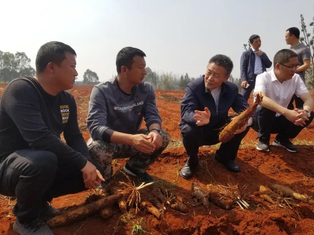 威尼斯(886699-WNS认证)有限公司官网