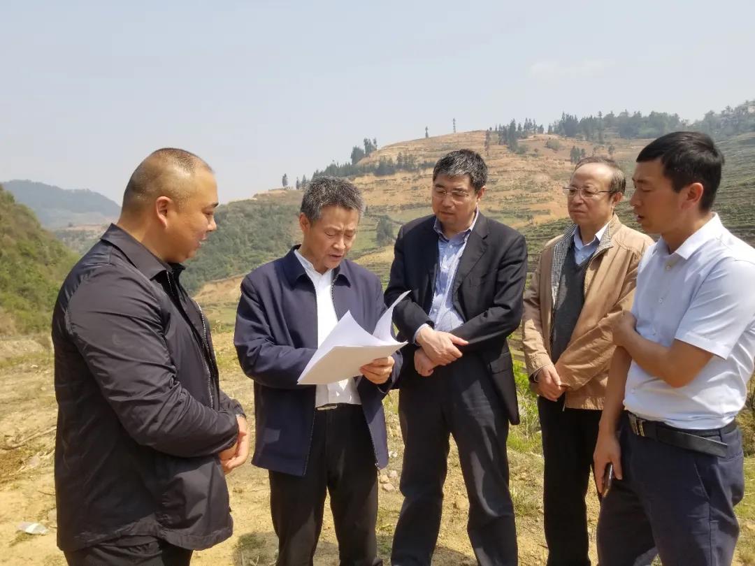 威尼斯(886699-WNS认证)有限公司官网