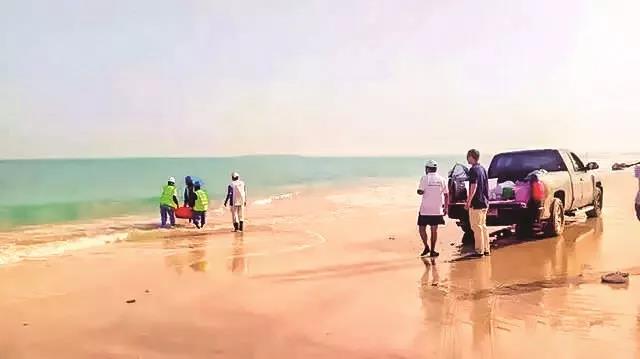 威尼斯(886699-WNS认证)有限公司官网